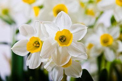 《破晓传说》新DLC详细情报公开 11月9日正式上线